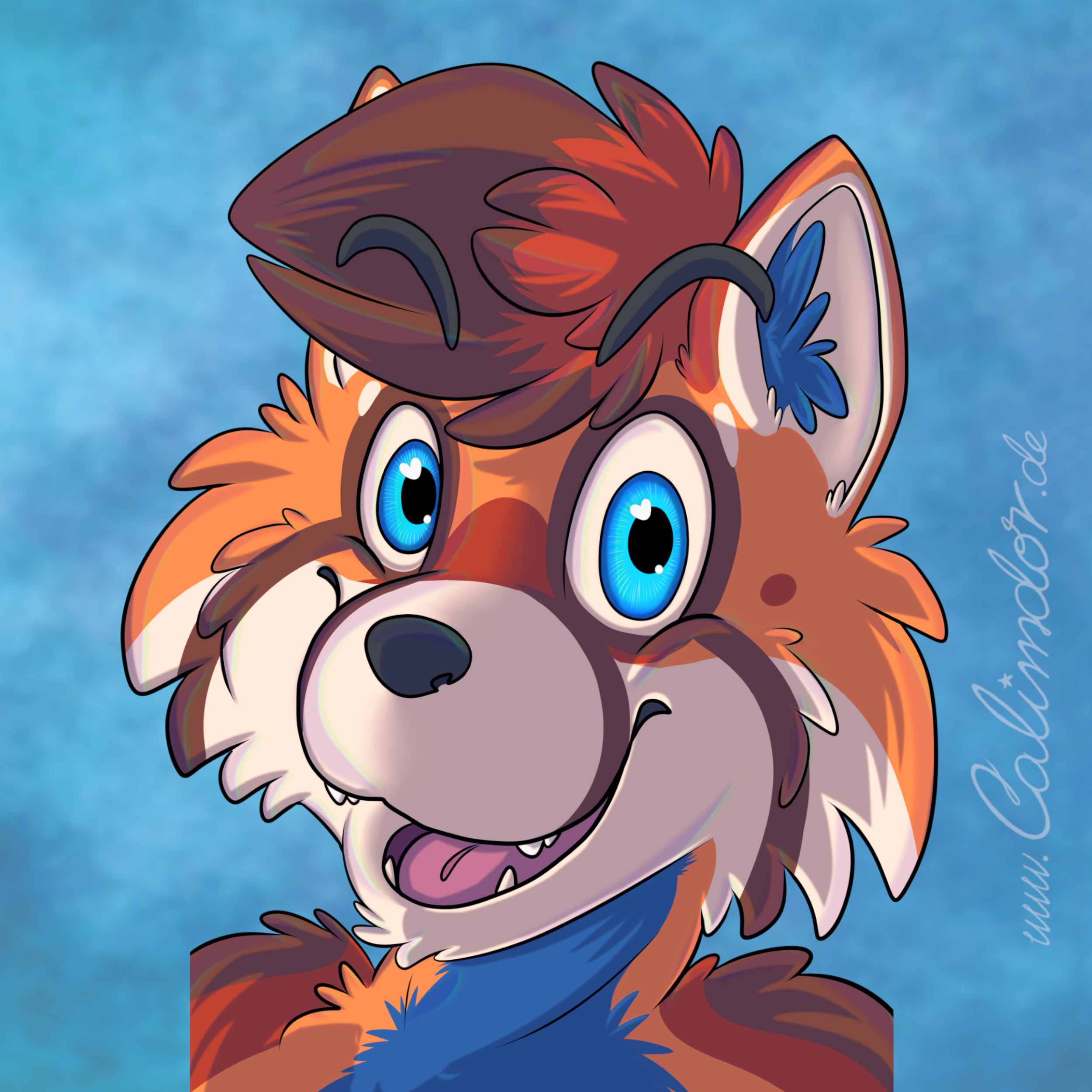 Portrait of Claspo the red panda